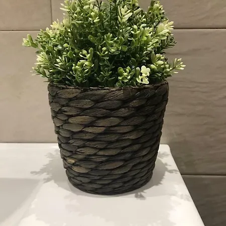 Apartment Alameda Ronda